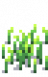 Wheat Stage 3.png