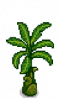 Banana Tree Stage 4.png