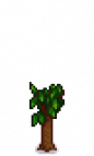 Apple Tree Stage 3.png