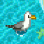 Seagull.png