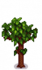 Pomegranate Tree Stage 4.png