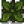 Springobjects314.png