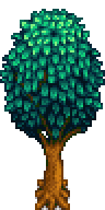 Oak Tree Stage 5-15 Summer.png