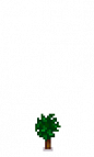 Orange Tree Stage 1.png