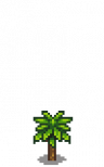 Mango Stage 2.png