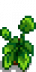 House Plant 6.png