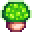 Green Mushroom.png
