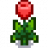 Tulip Stage 5.png