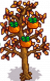 Persimmon Tree Phase Harvest.png