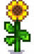 Sunflower Stage 5.png