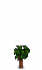 Apple Tree Stage 2.png