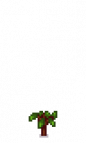 Pomegranate Tree Stage 1.png