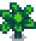 Broccoli Stage 4.png