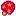 Mushroom Tree Seed.png