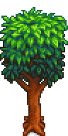 Mahogany Tree Stage 5-15 Spring.png