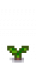 Taro Stage 1.png
