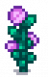 Fairy Rose Stage 5.png