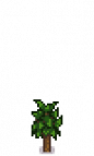Peach Tree Stage 2.png