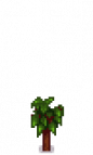 Pomegranate Tree Stage 2.png