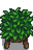 Junimo Table.png