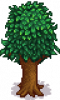 Pomegranate Tree Stage 5 Spring.png
