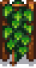 Hops Stage 5.png