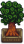 Curly Tree.png