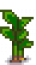 Taro Stage 4.png