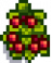 Cranberry Stage 6.png