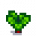Radish Stage 4.png