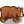 Bear Animal.png