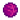 Red Cabbage.png