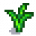Garlic Stage 4.png