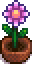 Seasonal Plant 3 Spring.png