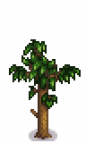 Peach Tree Stage 4.png