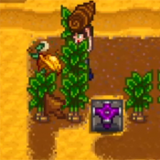 Walnut Harvest.png