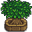 Junimo Tree.png