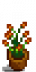 House Plant 4.png