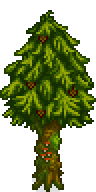 Pine Tree Mossed Fall.png