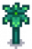 Starfruit Stage 5.png
