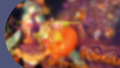 UT Activity 202410250 BG.png