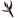 UT Relic 50038.png