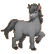 黑马_HorseBlack