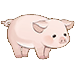 猪_PigNormal