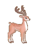 花鹿_DeerSika