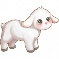 纯白绵羊_Sheep02