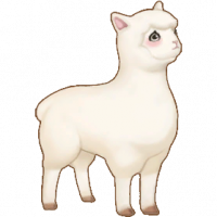 羊驼_CNM01