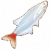 红尾玻璃鱼图标