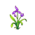 紫兰花图标