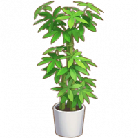 盆栽_PotPlant_Round_M_M14C01